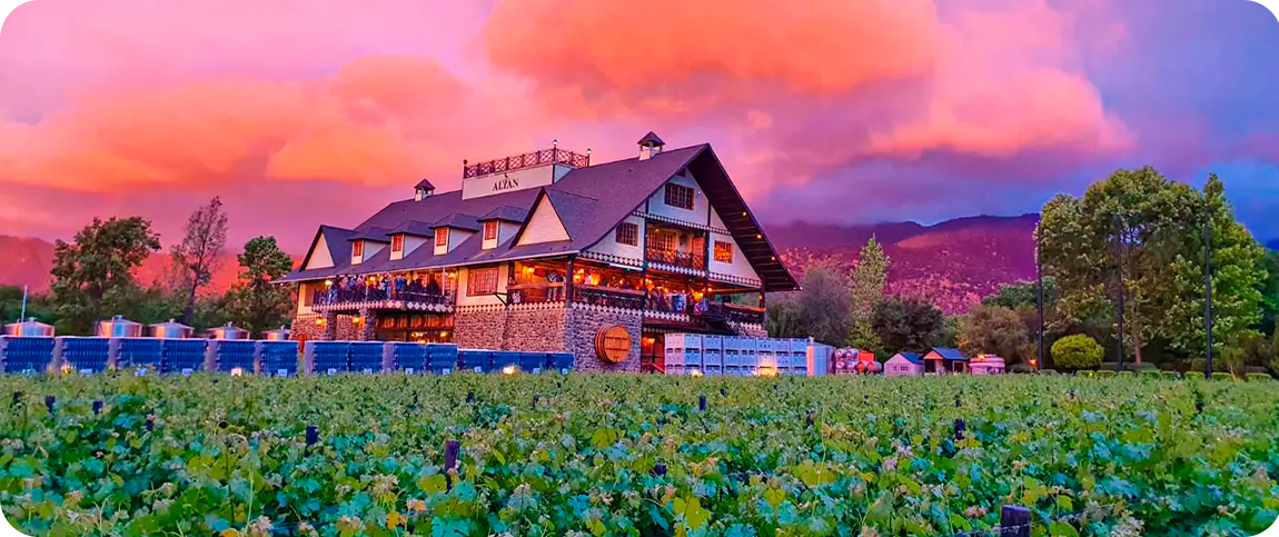 Imagem da Vinícola Alyan Family, no Chile, com seus vinhedos e pôr do sol deslumbrante. Uma das experiências premium oferecidas pela Tour Los Amigos.
