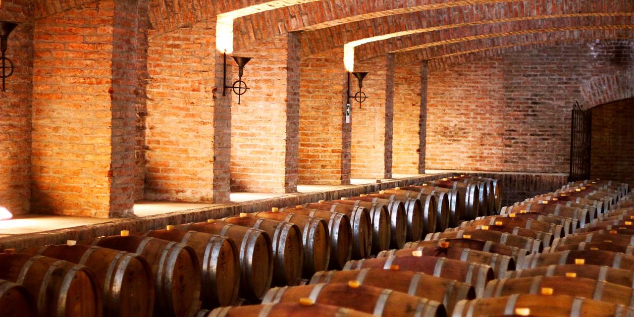 Conheça a vinícola Undurraga, onde a tradição do vinho se une à cultura Mapuche e à paisagem natural